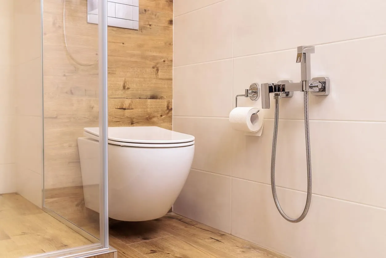 Bidet and Vaniety