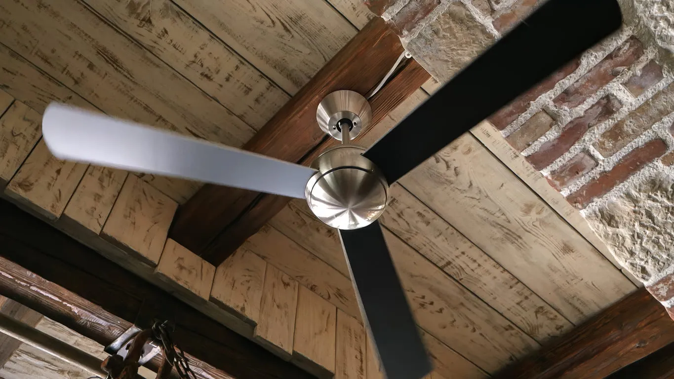 Looking Up at Ceiling Fan