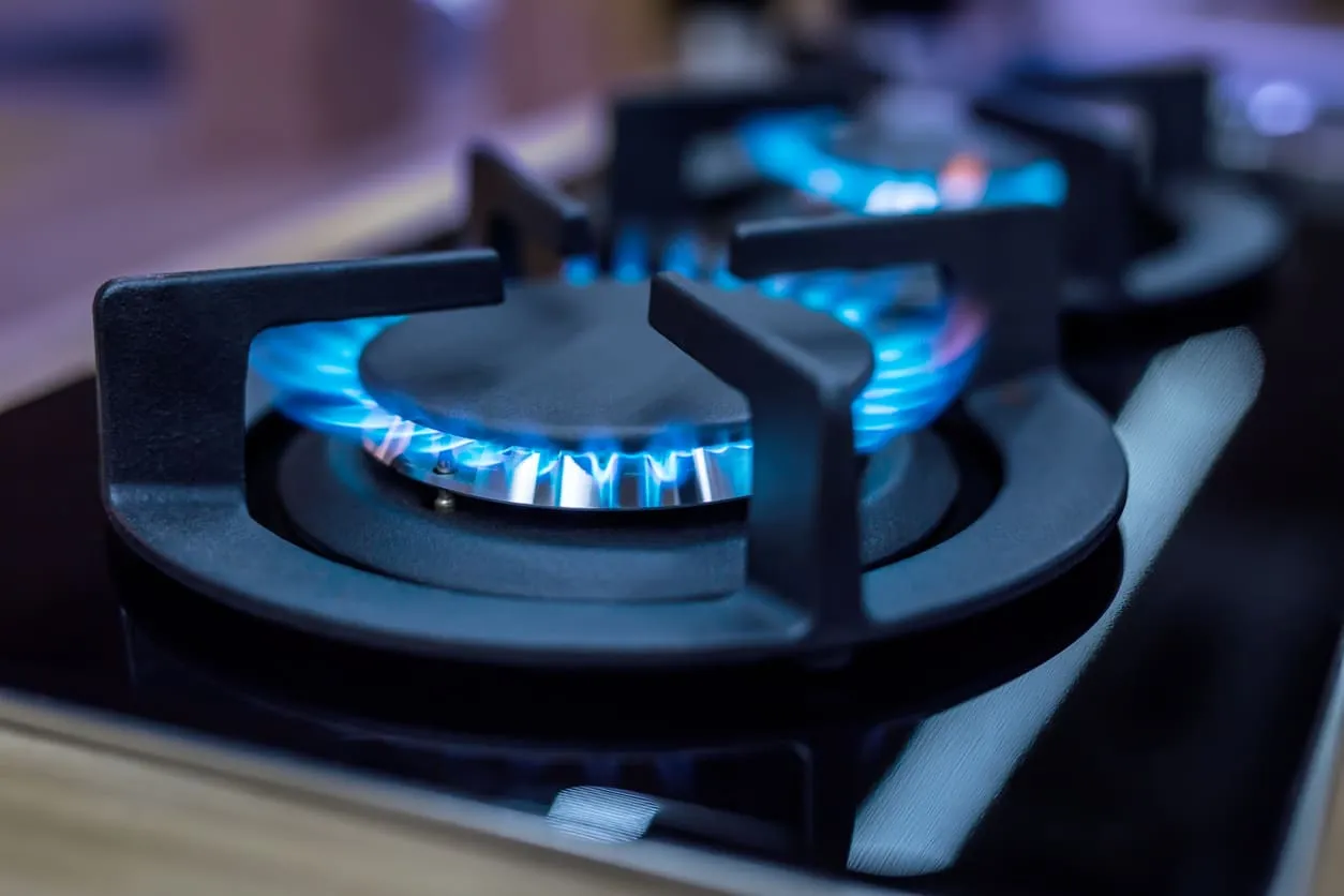 Natural Gas Burner