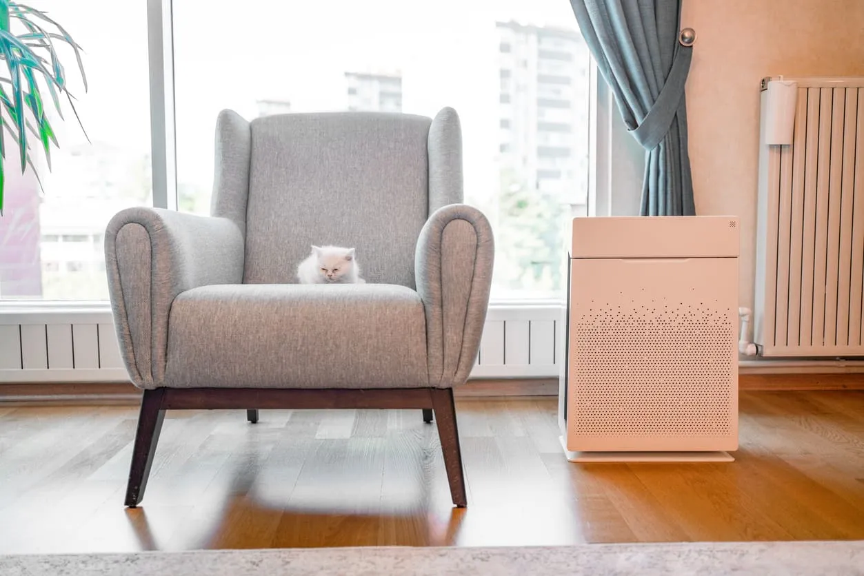 Kitten Next to Air Purifier
