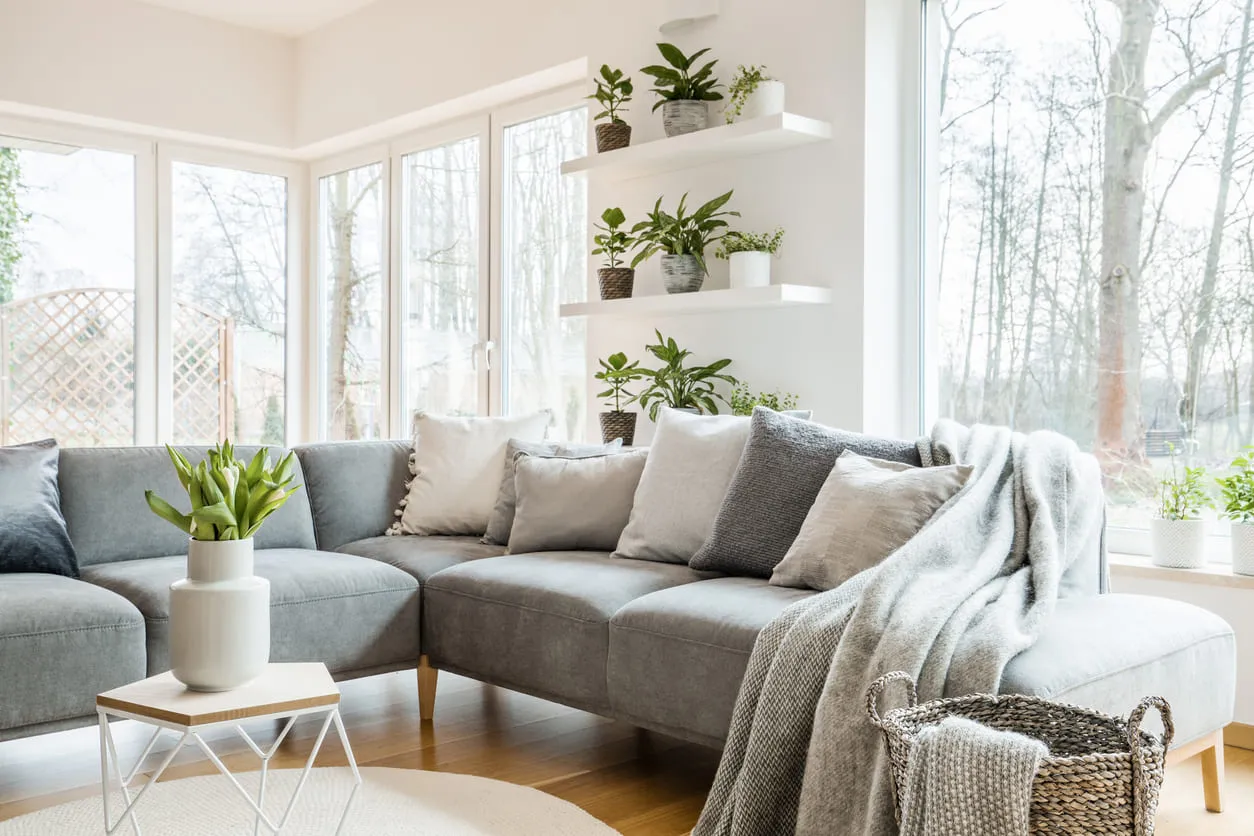 Modern Living Room