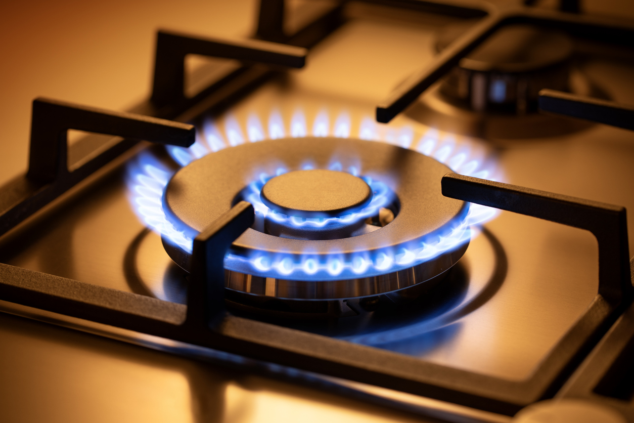Gas Range Burner