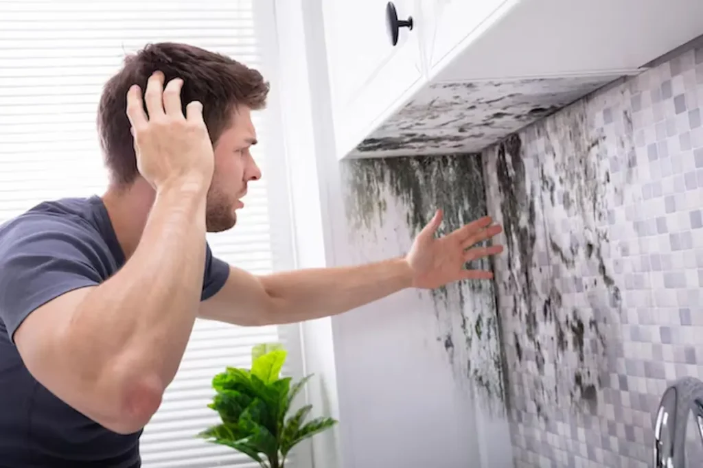 Plumber in Des Moines